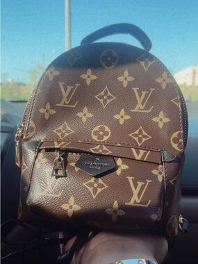 Louis Vuitton Mini Palm Springs Backpack